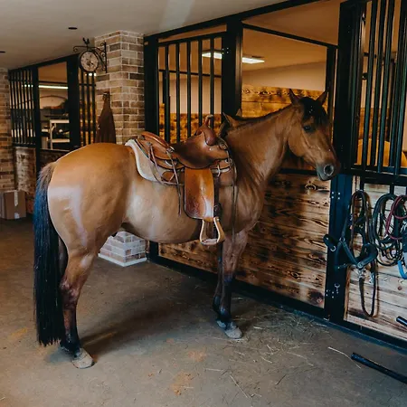 Zazitkovy Ranc Nevada * Velka Lecice