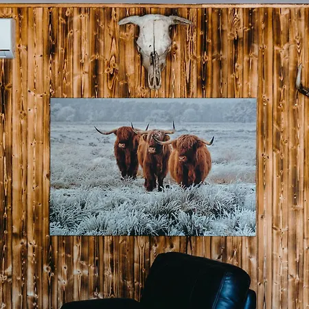 Zazitkovy Ranc Nevada * Velka Lecice