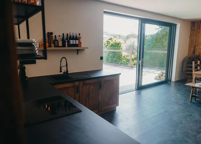 Zazitkovy Ranc Nevada Apartment *