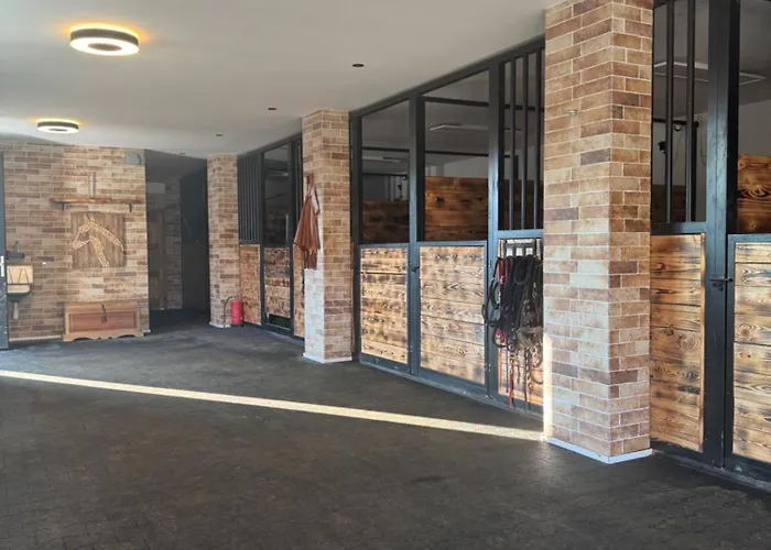 Zazitkovy Ranc Nevada *