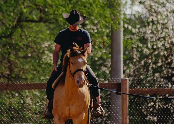 Apartment Zazitkovy Ranc Nevada Velka Lecice